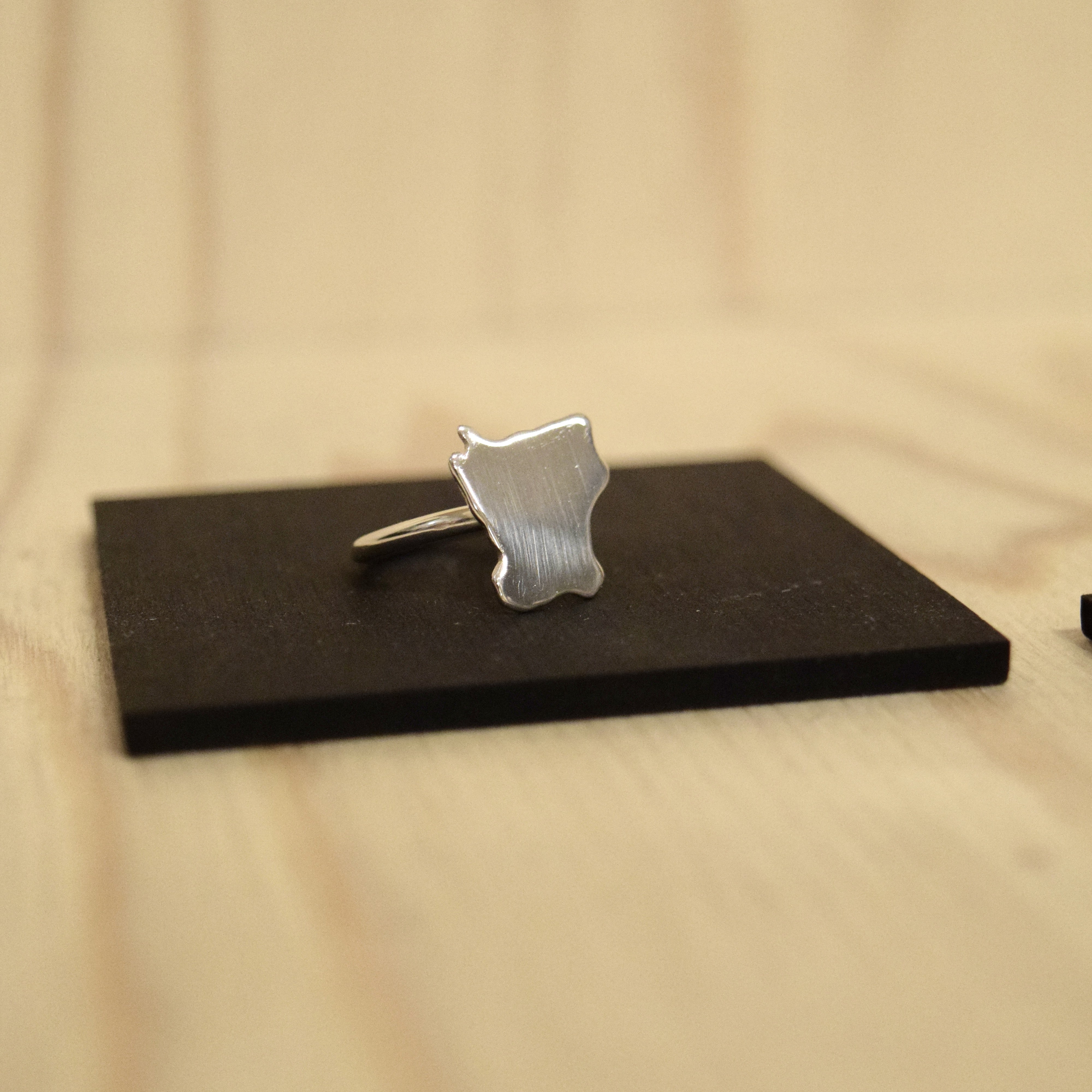 SKÅNE Ring
