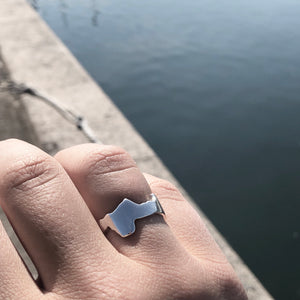 VALDEMARSVIKEN Ring